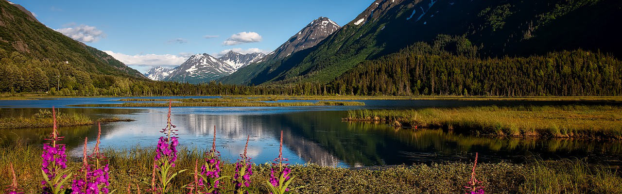 A Peaceful lake in Alaska